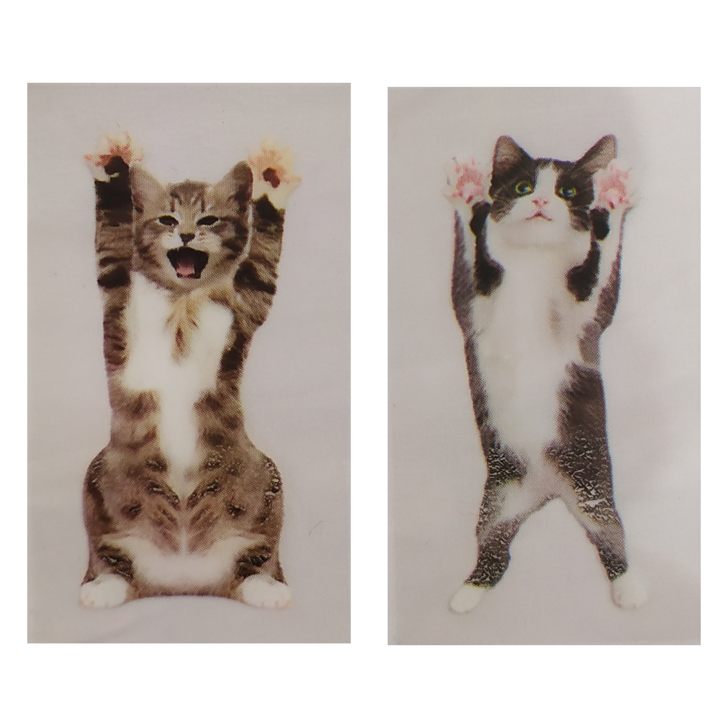 Lesezeichen Katzen Buchzeichen Bookmarks Katze Buch Kätzchen im 100er Set 