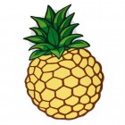 Ananas Badetuch