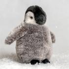 Pinguin Baby Animigos Kuscheltier 